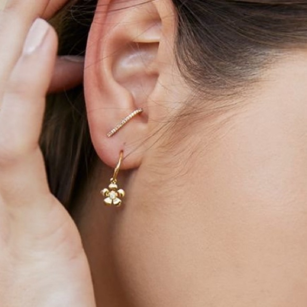 Uncommon James Open Bar ear climber